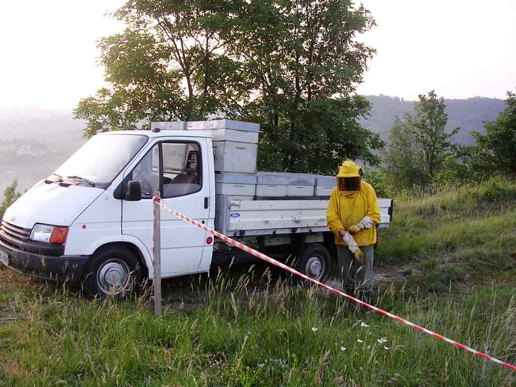 Apicoltore